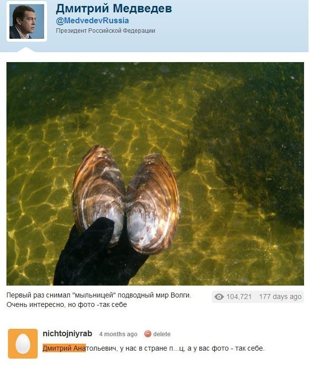Image 61